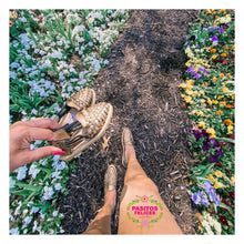 Load image into Gallery viewer, Bronze - braid